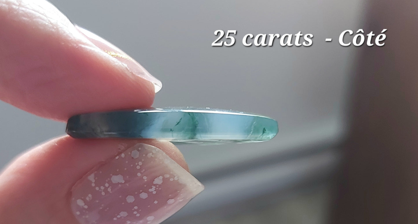 Écusson de la Forêt Sacrée – Agate Mousse Verte d'Exception (Grade AAA)