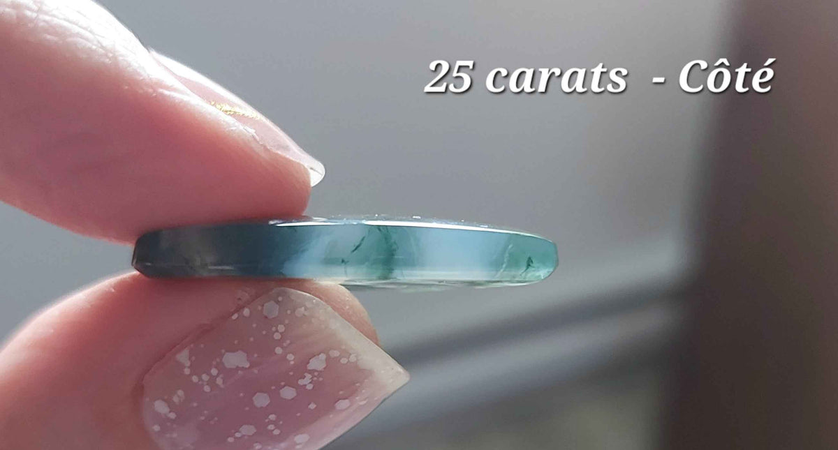 Écusson de la Forêt Sacrée – Agate Mousse Verte d'Exception (Grade AAA)