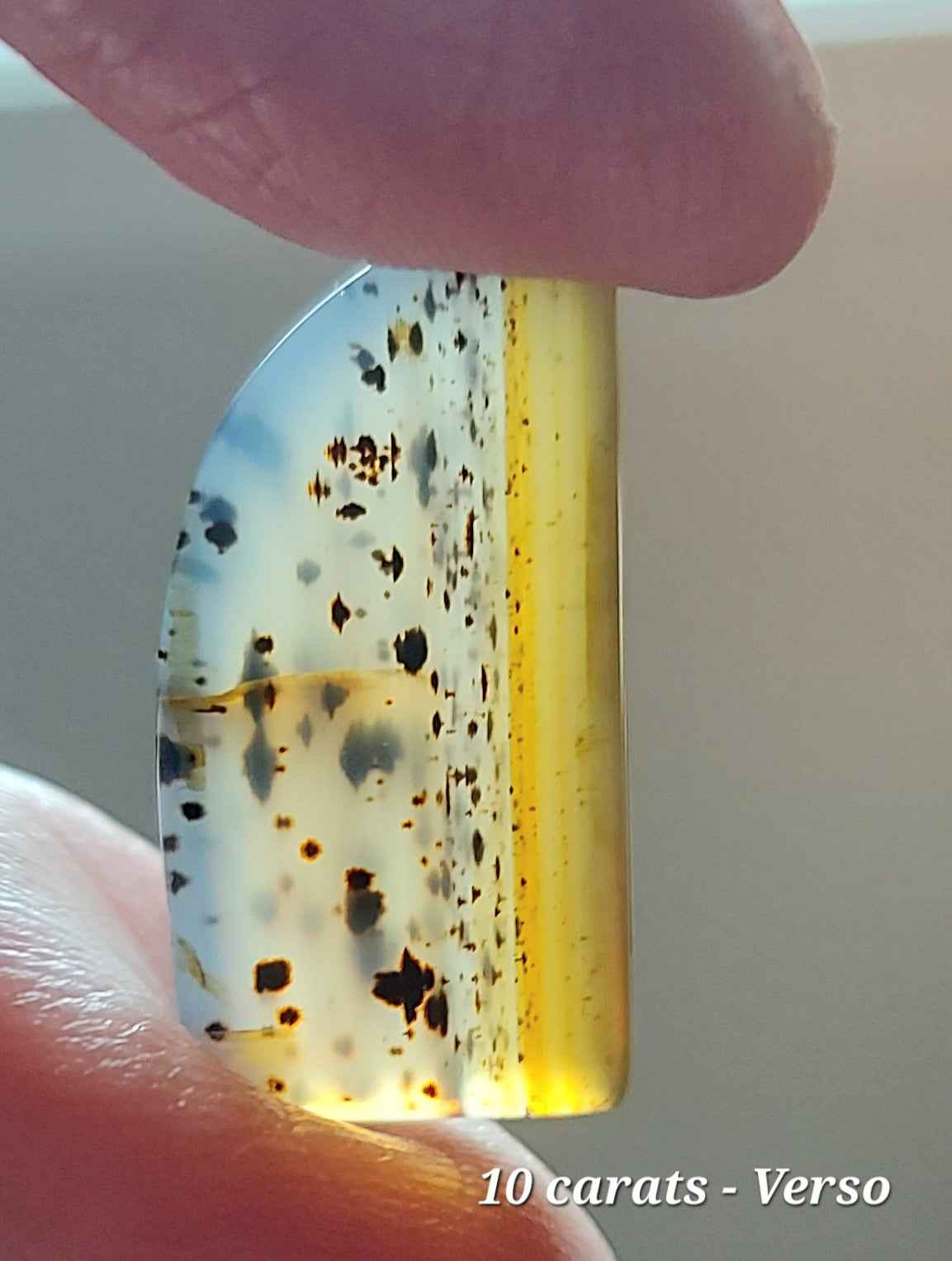 🌿 Demi-Lune de Sienne – Agate Dendritique d'Exception (Grade AAA)