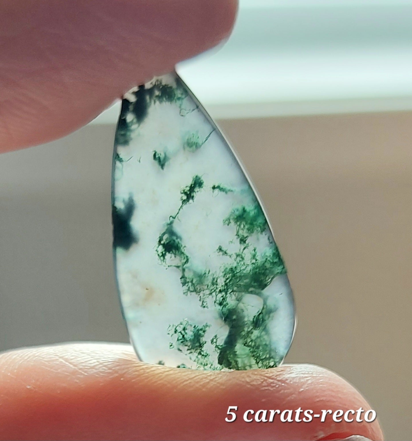 🌌 Duo d'Agates Mousses Vertes d'Exception (Grade AAA) — Paysages Miniatures