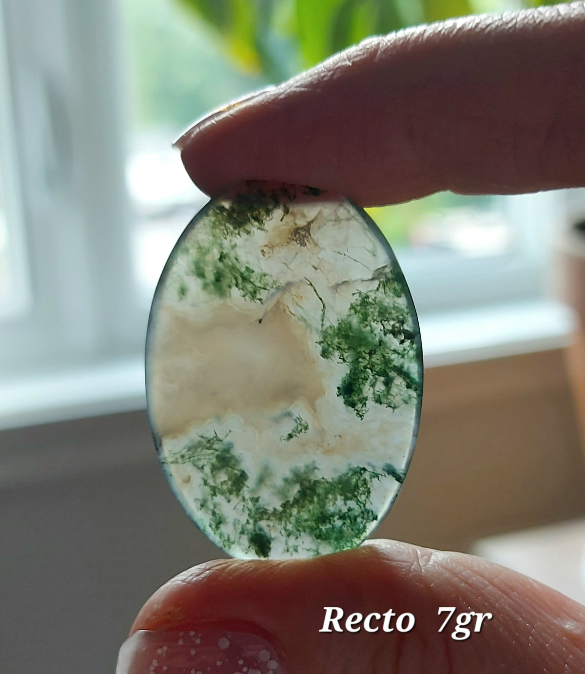 Agate Mousse Verte grade A ( Ligne Économique)