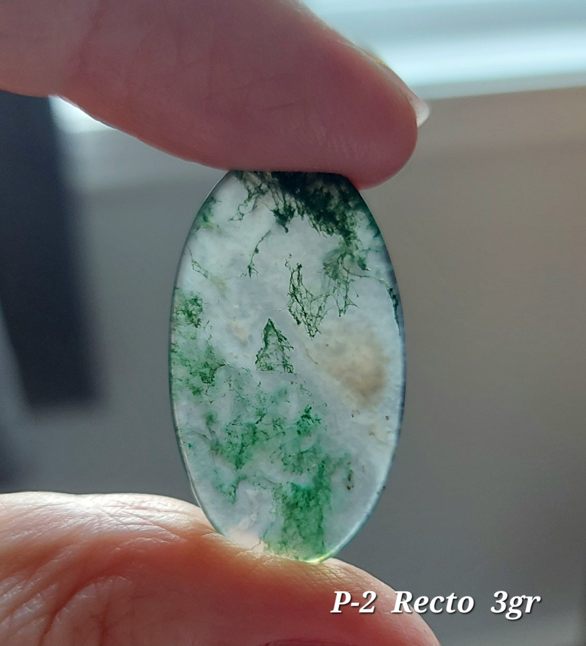 Agate Mousse Verte grade A ( Ligne Économique)
