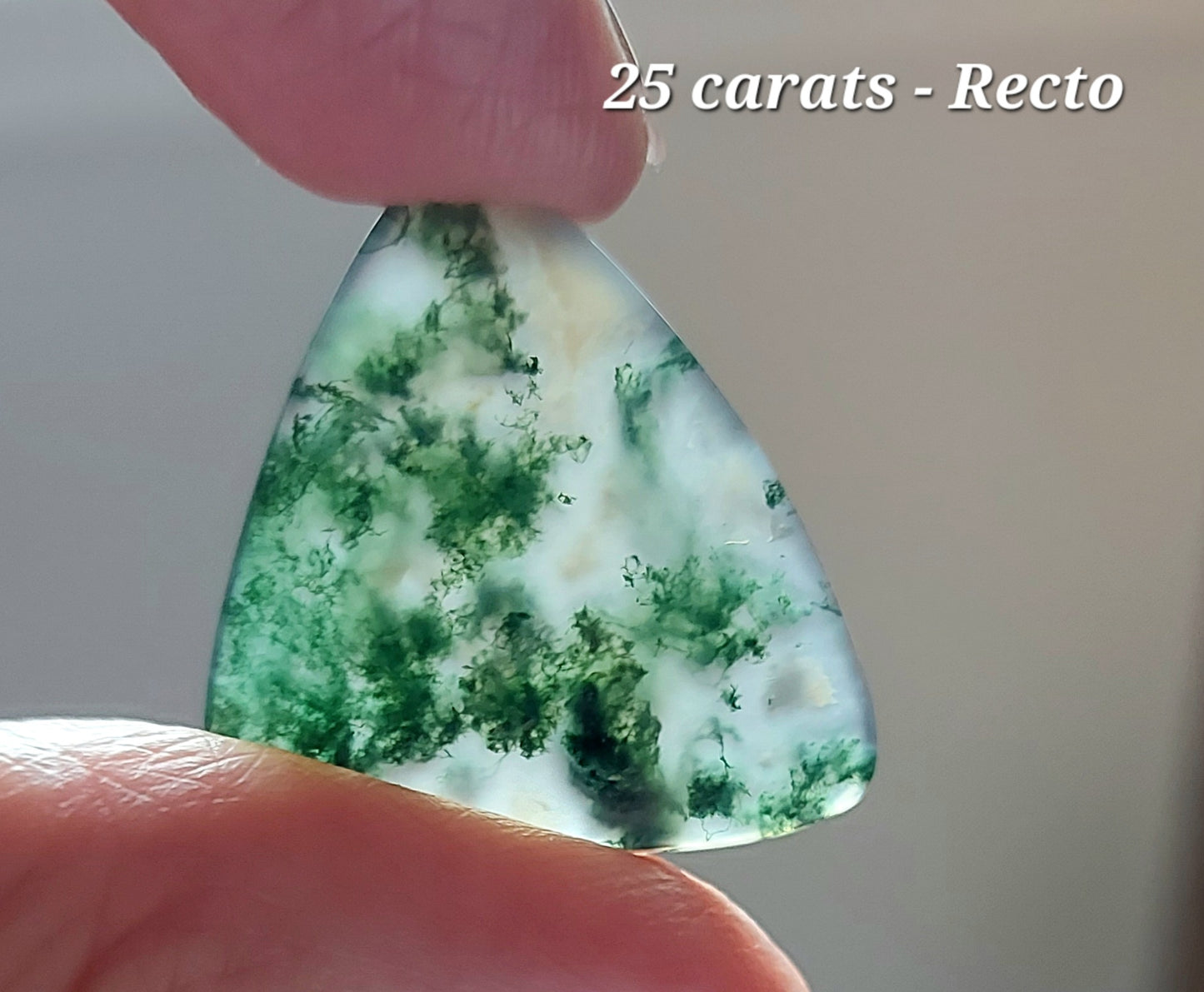 Écusson de la Forêt Sacrée – Agate Mousse Verte d'Exception (Grade AAA)