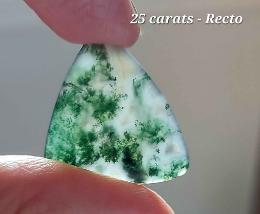 Écusson de la Forêt Sacrée – Agate Mousse Verte d'Exception (Grade AAA)