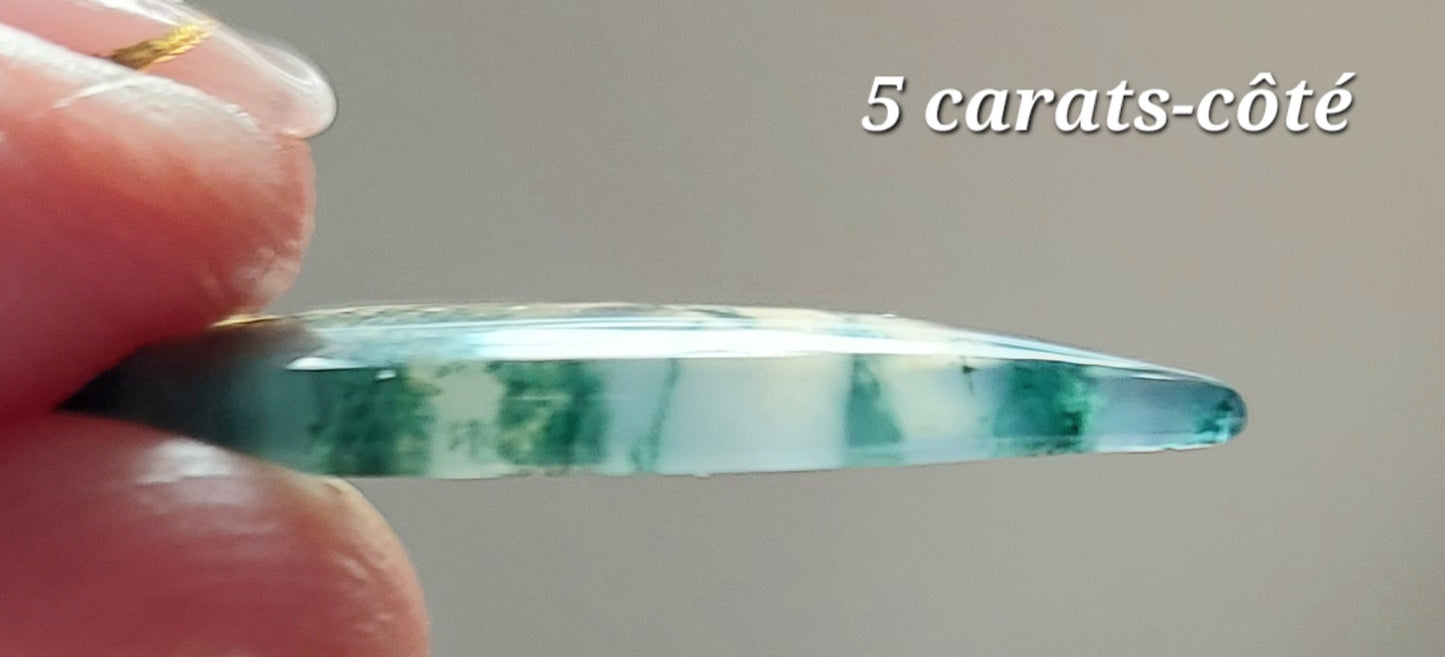 🌌 Duo d'Agates Mousses Vertes d'Exception (Grade AAA) — Paysages Miniatures
