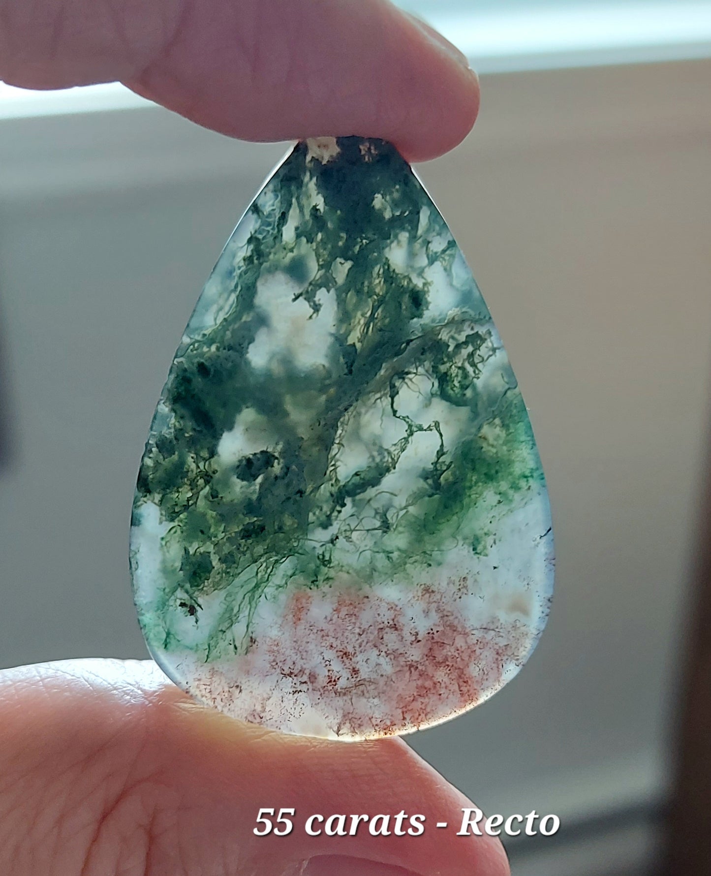 🍂 Duo de la Forêt Antique – Agates Mousses Rouges (Grade AA)