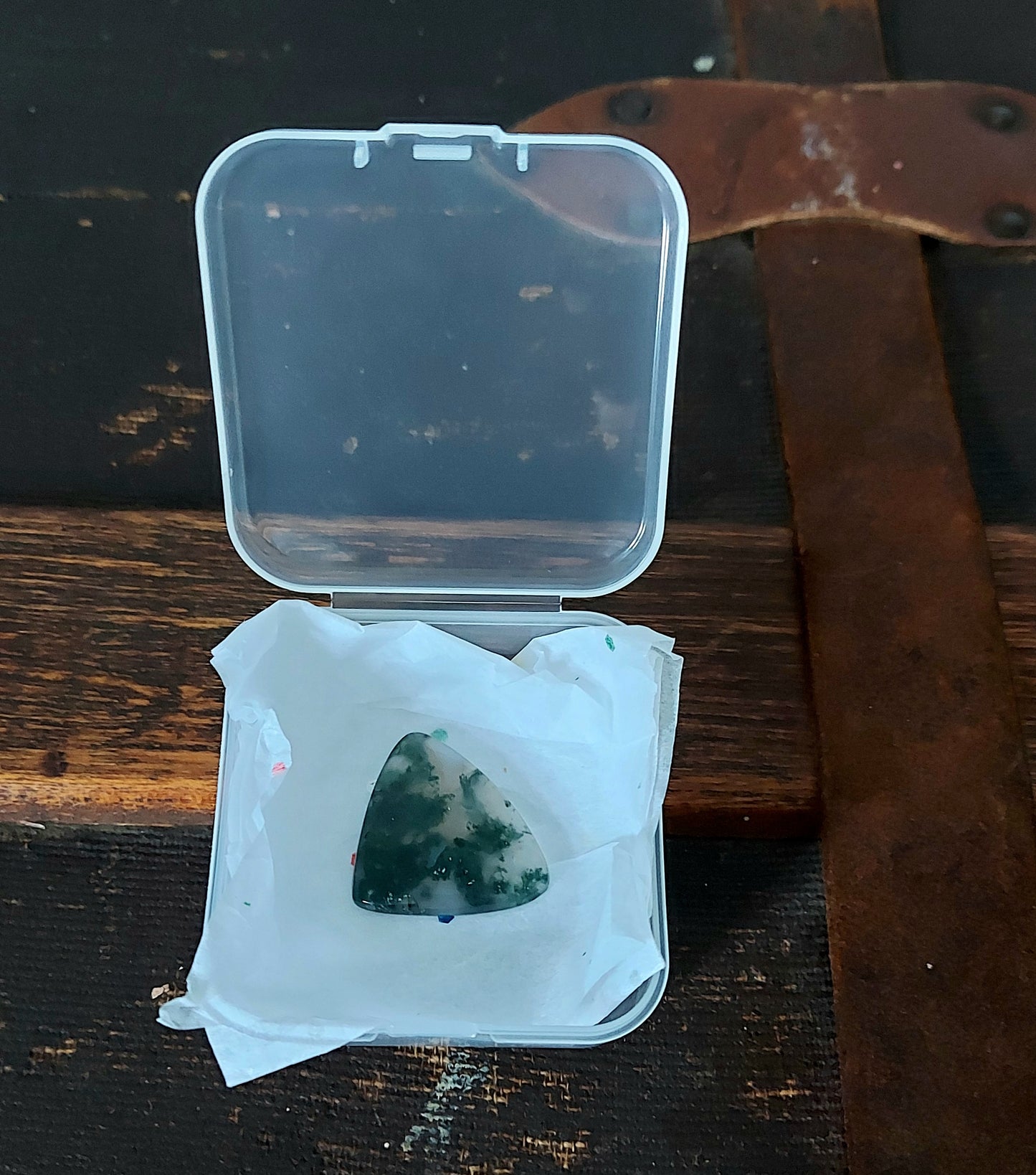 Écusson de la Forêt Sacrée – Agate Mousse Verte d'Exception (Grade AAA)