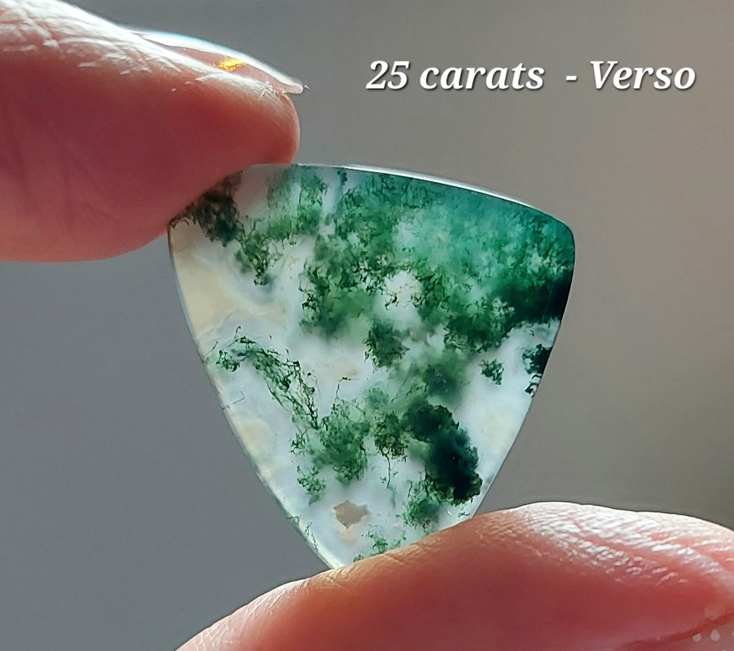 Écusson de la Forêt Sacrée – Agate Mousse Verte d'Exception (Grade AAA)