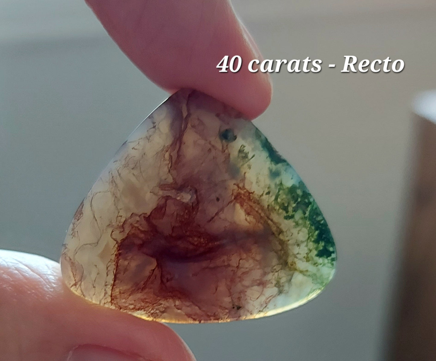🍂 Duo de la Forêt Antique – Agates Mousses Rouges (Grade AA)