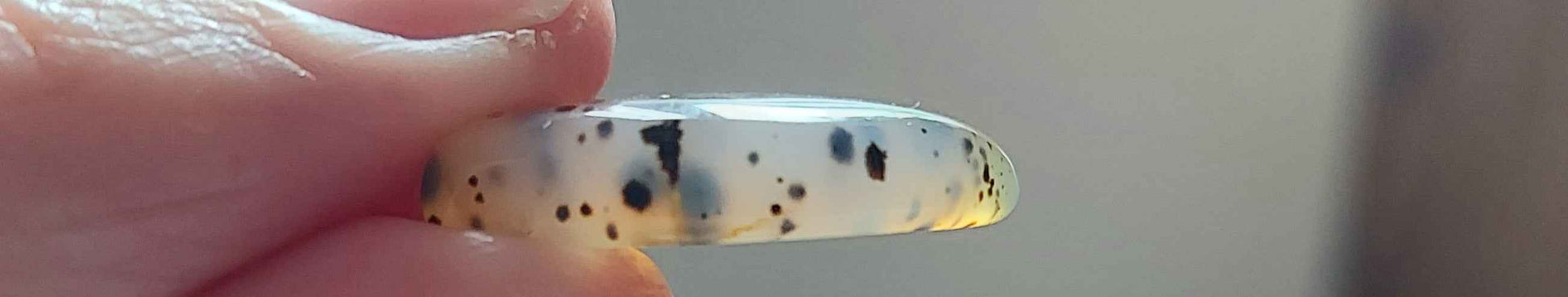🌿 Demi-Lune de Sienne – Agate Dendritique d'Exception (Grade AAA)