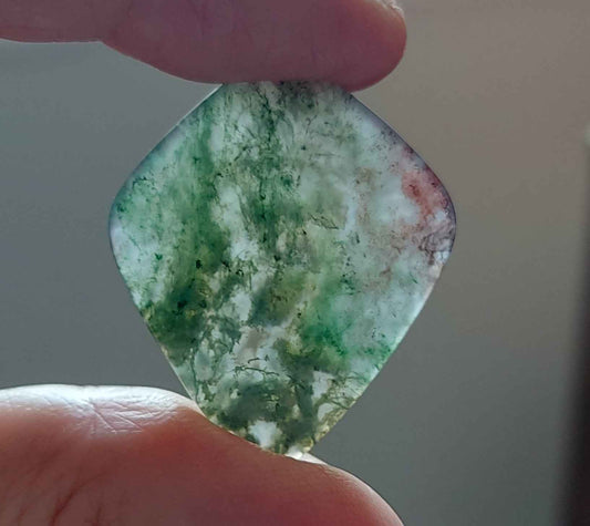 Duo des Brumes d’Automne - Agates Mousses Bicolores Grade AA