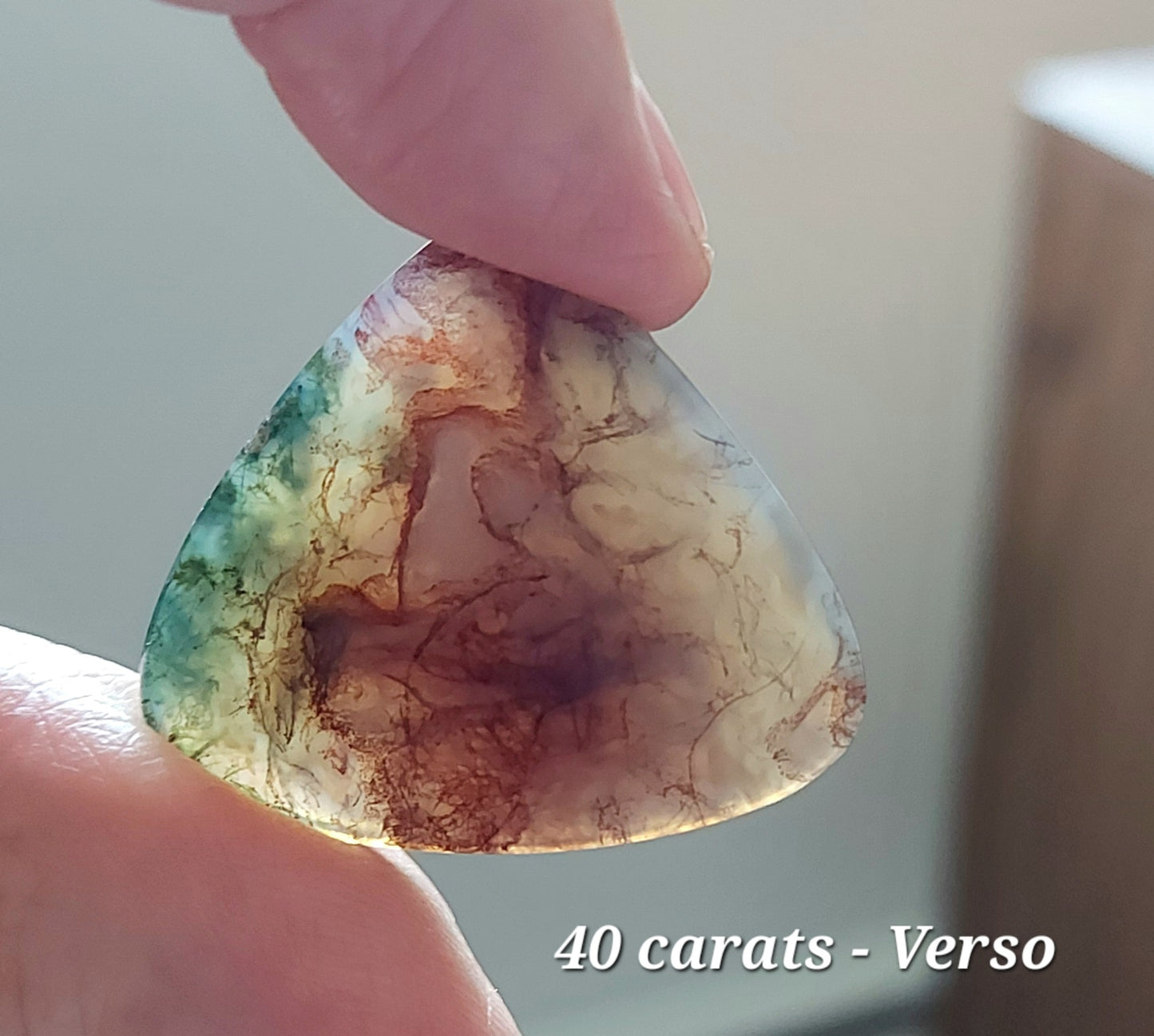 🍂 Duo de la Forêt Antique – Agates Mousses Rouges (Grade AA)