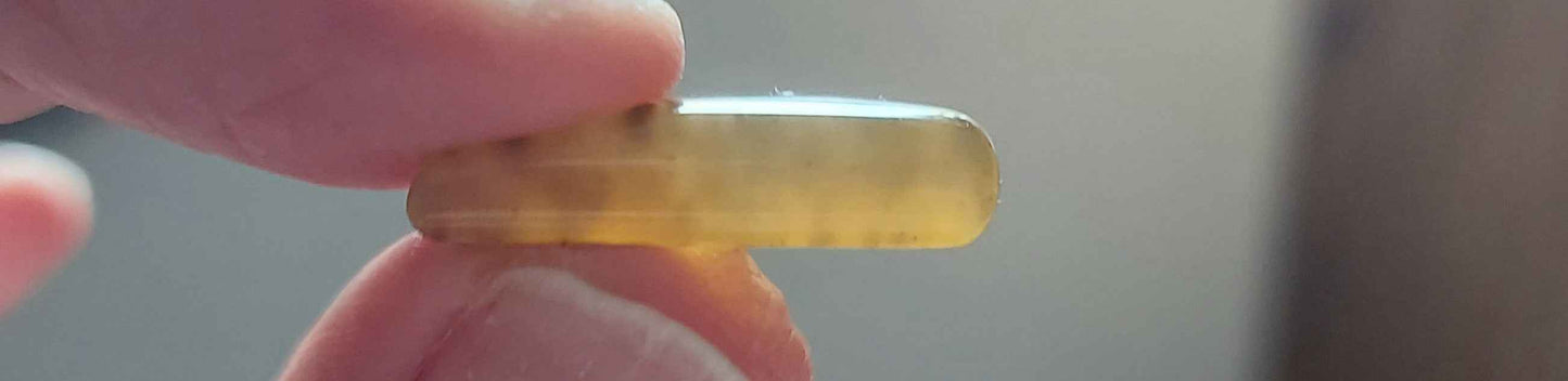 🌿 Demi-Lune de Sienne – Agate Dendritique d'Exception (Grade AAA)