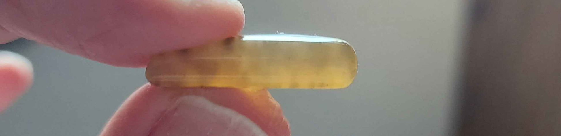 🌿 Demi-Lune de Sienne – Agate Dendritique d'Exception (Grade AAA)