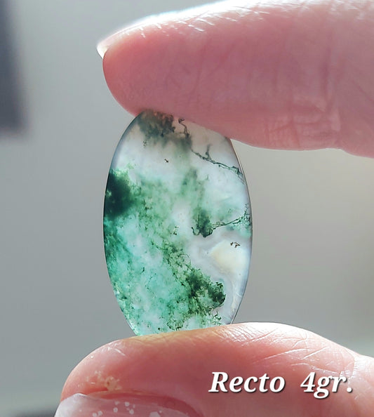 ⚖️ Agate Mousse Verte Grade AA (Les Équilibrées) ⚖️