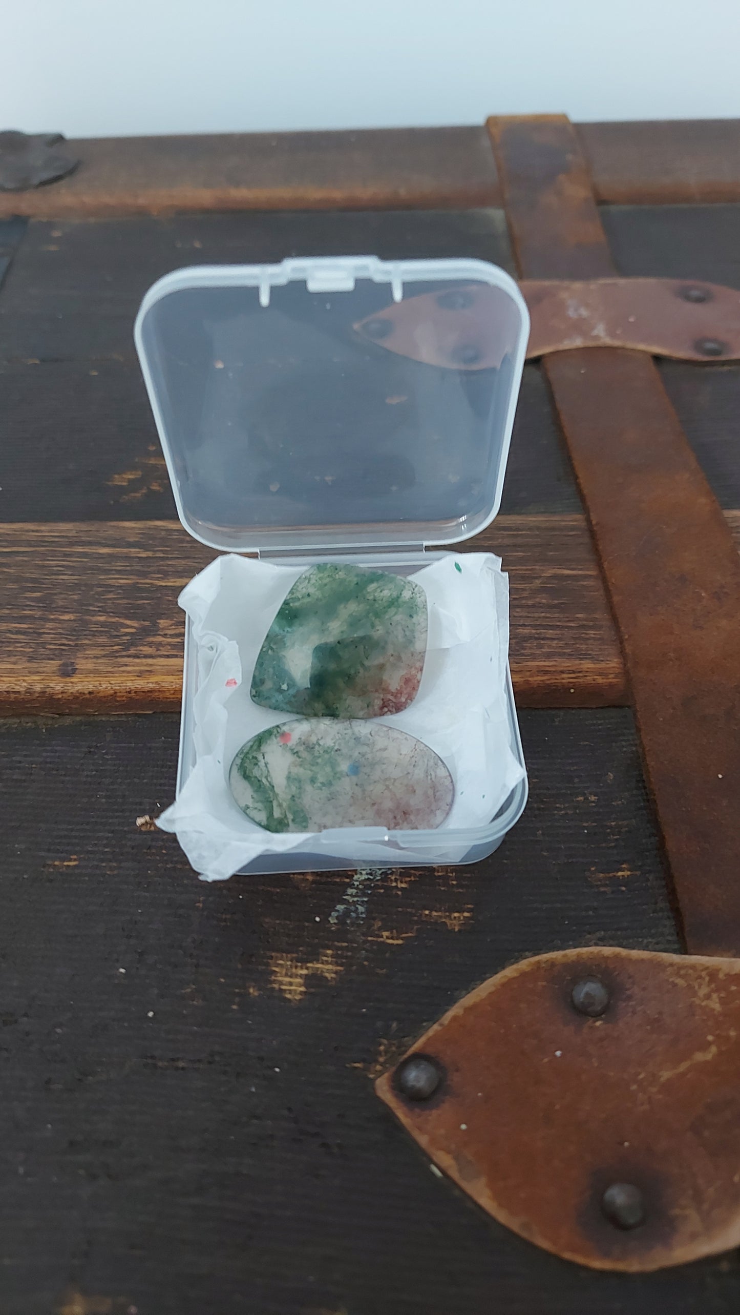🍂 Duo des Brumes d'Automne – Agates Mousses Bicolores (Grade AA)