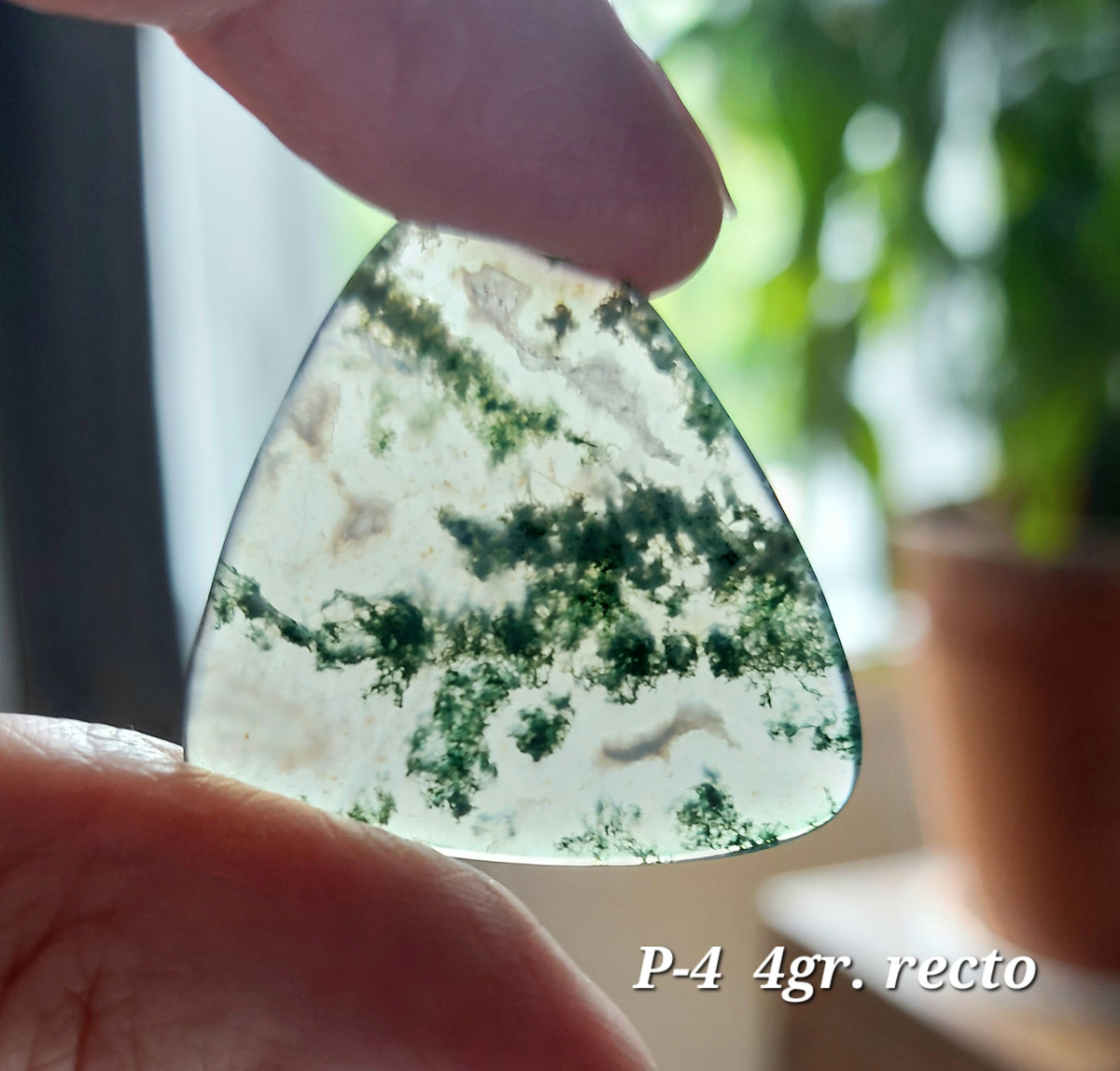 Agate Mousse Verte grade A ( Ligne Économique)
