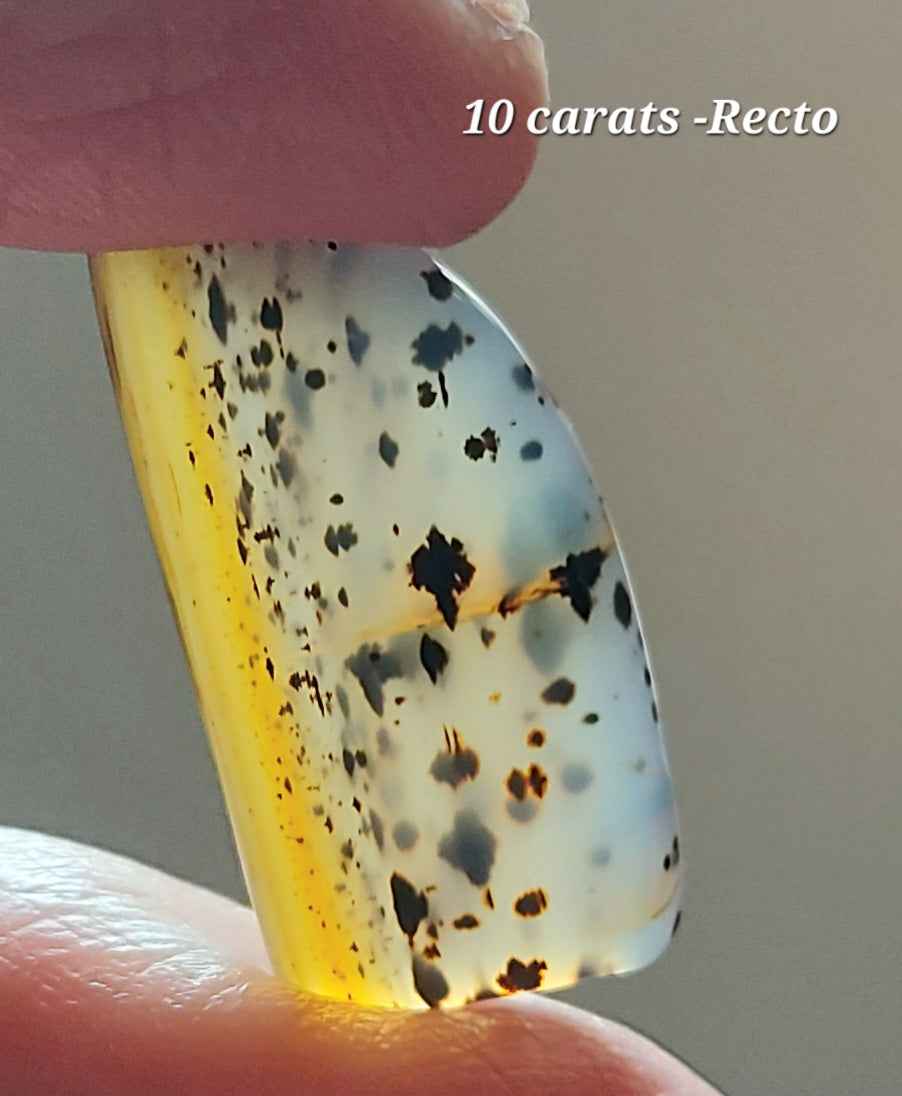 🌿 Demi-Lune de Sienne – Agate Dendritique d'Exception (Grade AAA)