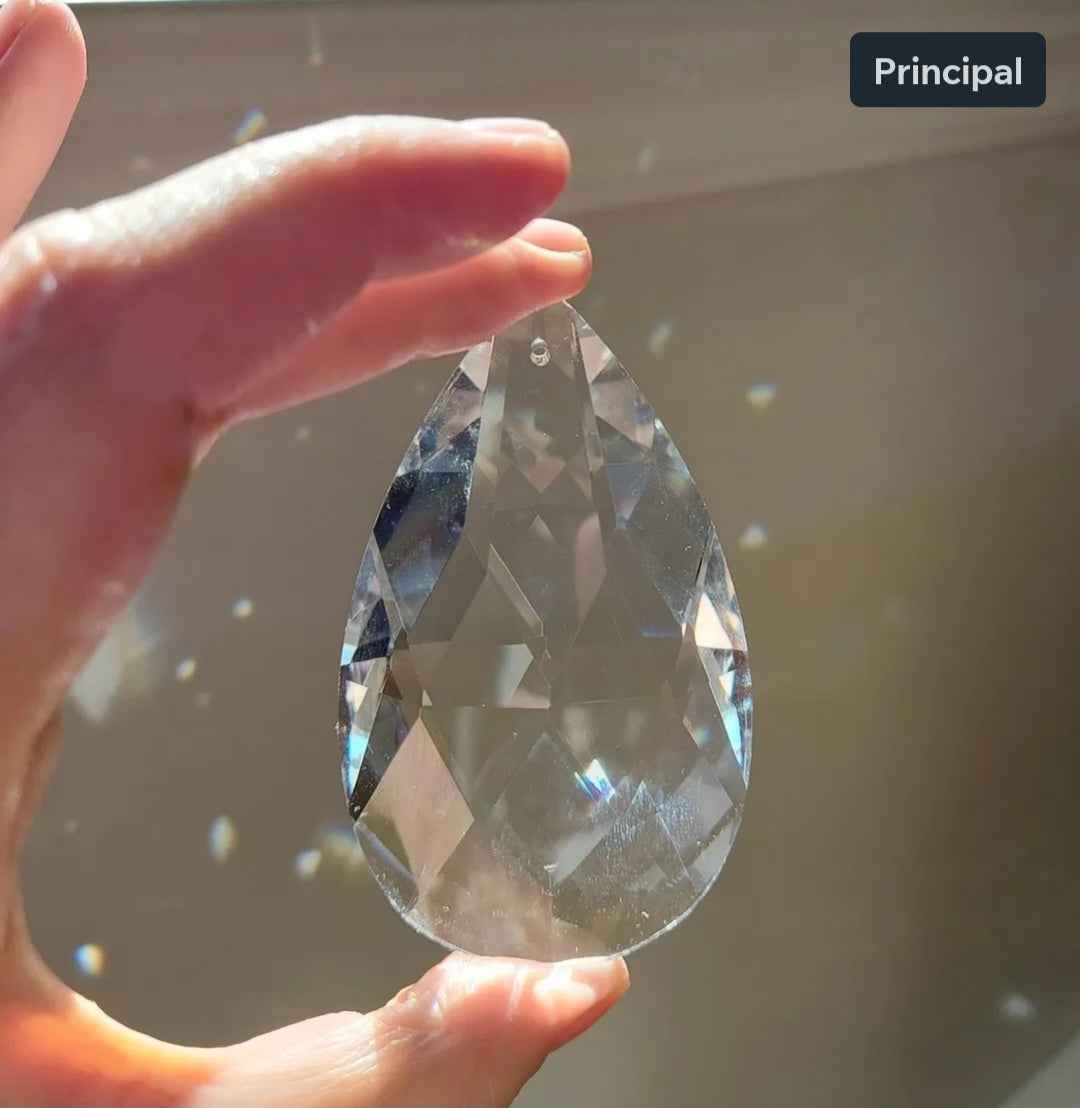 Attrape-soleil  (Gros)