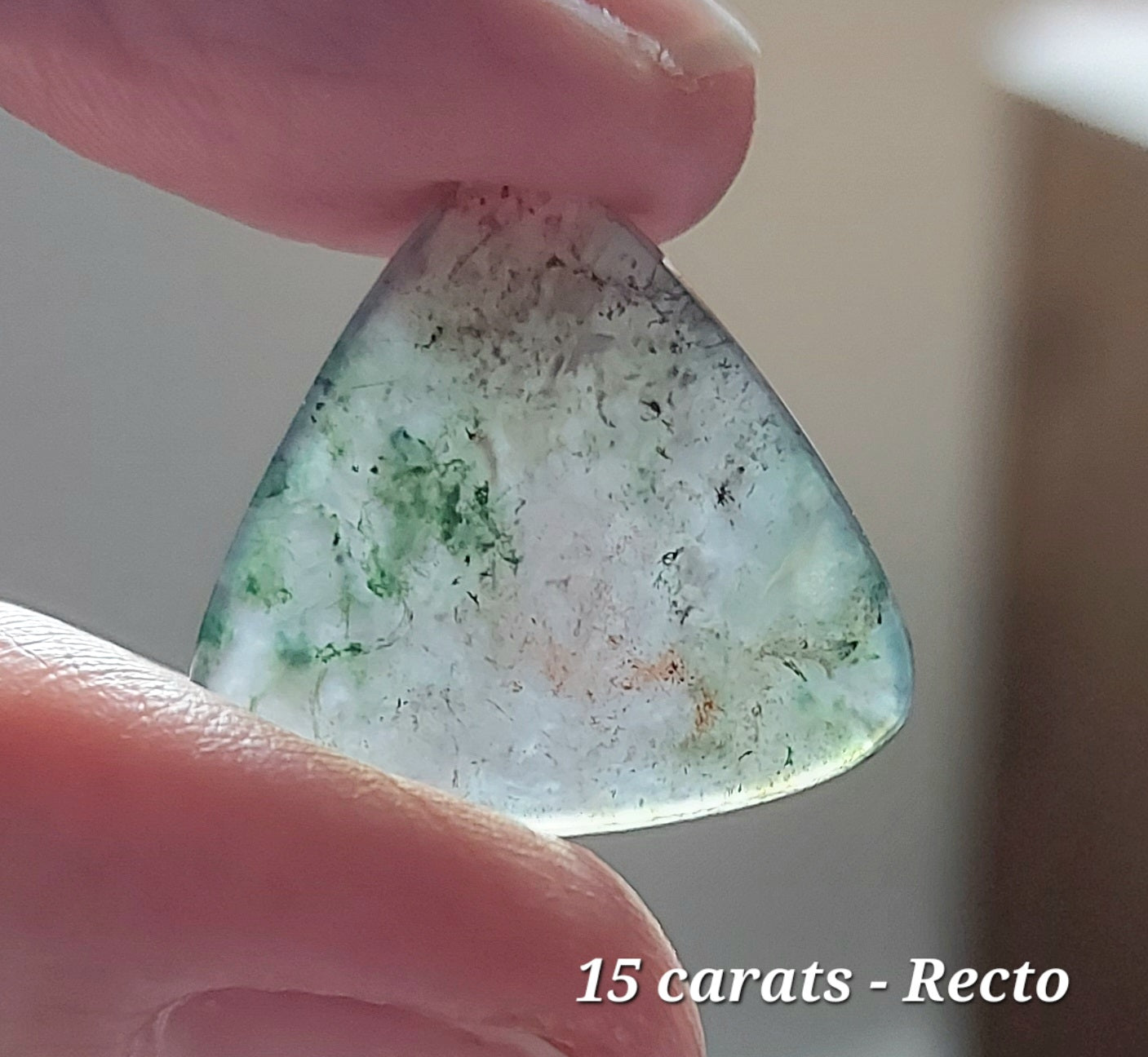 🌿Trillant des Neiges – Agate Mousse Bicolore (Grade AAA)