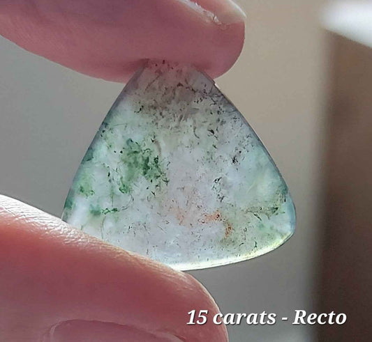 🌿Trillant des Neiges – Agate Mousse Bicolore (Grade AAA)